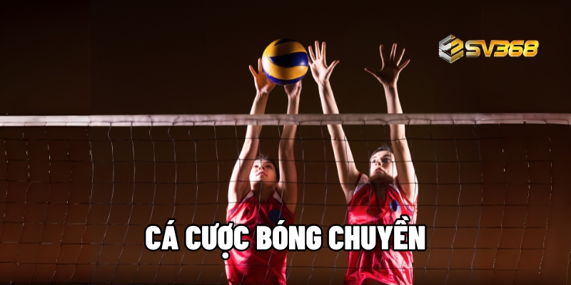 ca cuoc bong chuyen 1