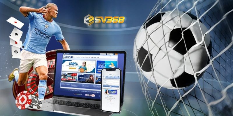 the thao sv368 4 1