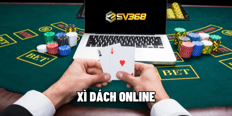 xi dach online 1